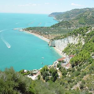 Villa Scapone